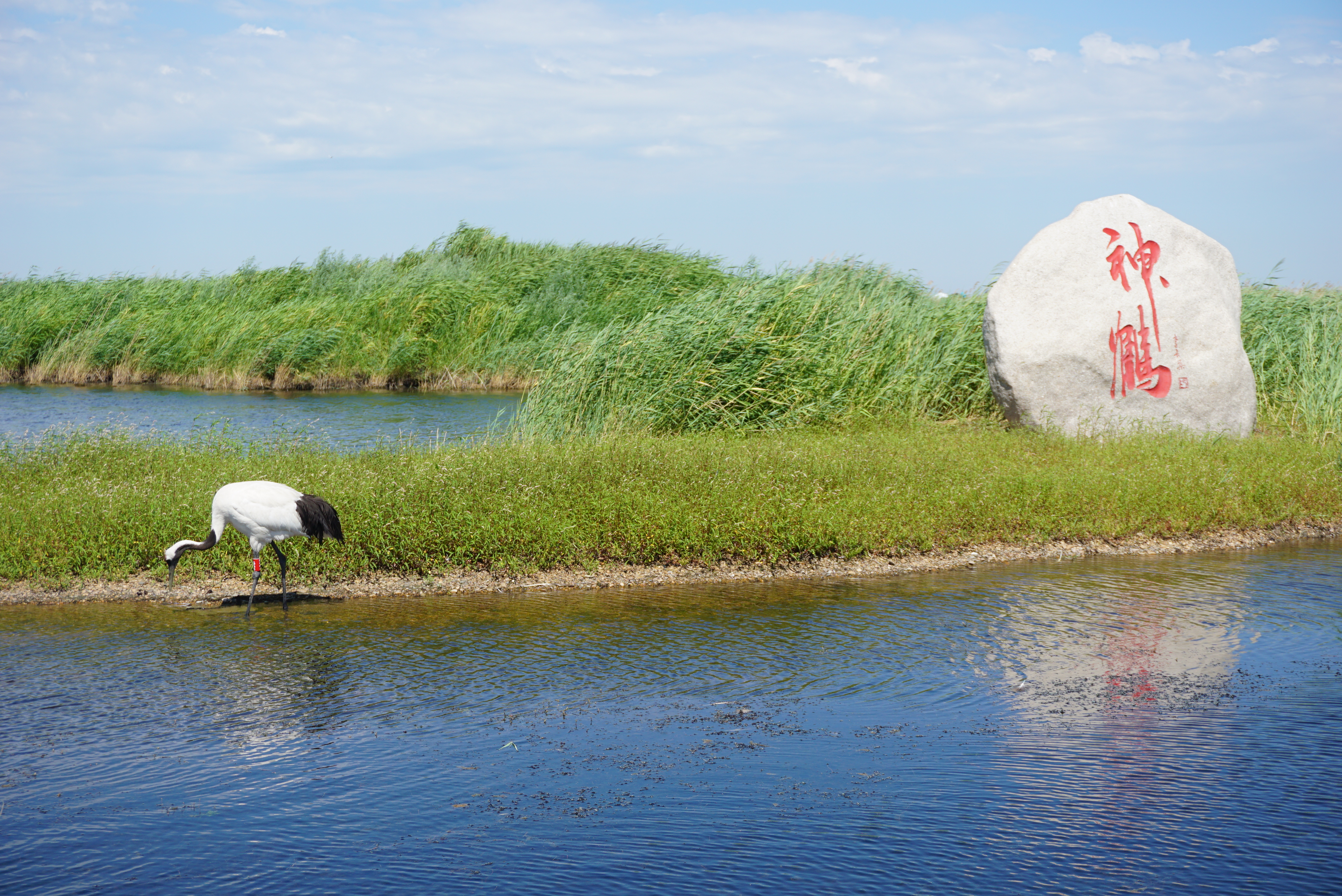 运城,华夏文明的璀璨明珠闪耀之地