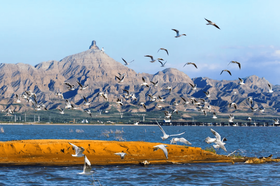 乌海之旅,探寻神秘与壮美的世界