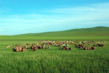 呼伦贝尔,草原之韵,自然之美的赞歌